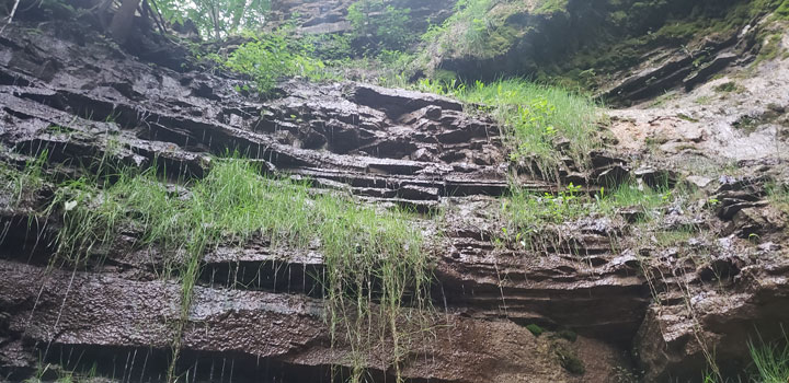 nature waterfall rocks grass green