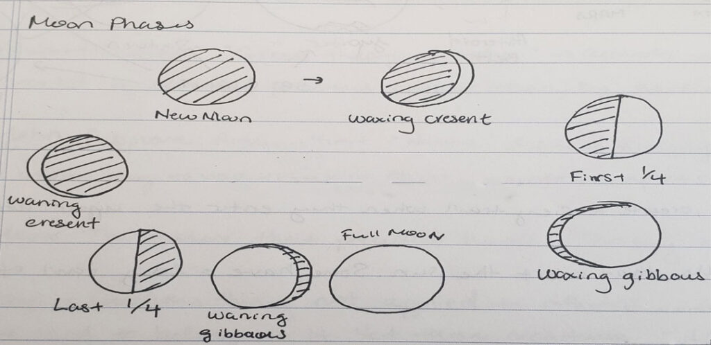 moon phases drawing sketch 