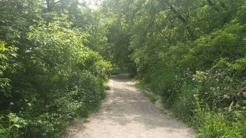 well maintained trails at riverwood