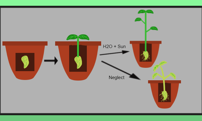 A plant model showing results of neglect and care and how it relates to negative and positive influence